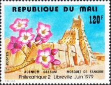 Adenium obesum and Sankore mosque