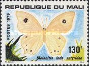 Common Evening Brown (Melanitis leda)