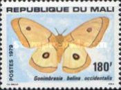 Moth (Gonimbrasia belina ssp. occidentalis)