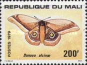 Cabbage Tree Emperor Moth (Bunaea alcinoe)