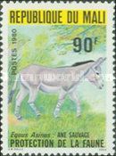 African Wild Ass (Equus asinus)