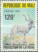Addax (Addax nasomaculatus)