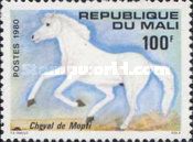 Horse from Mopti (Equus ferus caballus)