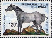 Horse from Nioro (Equus ferus caballus)