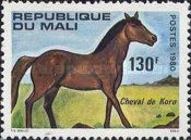 Horse from Koro (Equus ferus caballus)