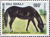 Horse from the Sea Zone (Equus ferus caballus)