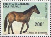 Horse from Banamba (Equus ferus caballus)