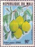 Guavas