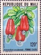 Cashews