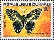 Citrus Swallowtail (Papilio demodocus)