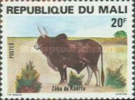 Kaarta Zebu (Bos primigenius indicus)