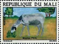 Peul Sheep (Capra aegagrus hircus)