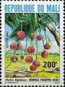 Parkia africana