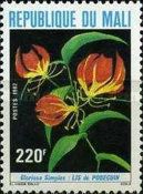 Gloriosa simplex