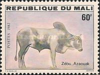 Azaouak-Zebu (Bos primigenius indicus)