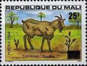 Goat (Capra aegagrus hircus) - Male surcharged