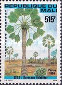 Sugar Palm (Borassus flabellifer)