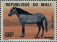 Beledougou Horse (Equus ferus caballus)