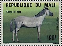 Nara Horse (Equus ferus caballus)