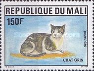 Domestic Cat (Felis silvestris catus)