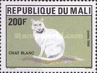 Domestic Cat (Felis silvestris catus)
