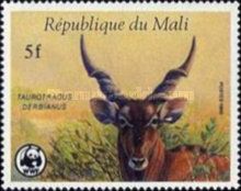 Giant Eland (Taurotragus derbianus)