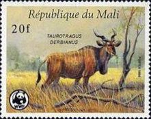 Giant Eland (Taurotragus derbianus)