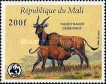 Giant Eland (Taurotragus derbianus) with Calf