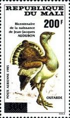 Great Bustard (Otis tarda) surcharged