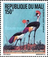 Grey Crowned Crane (Balearica regulorum)