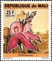 Disa kewensis