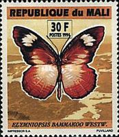 African Palmfly (Elymniopsis bammakoo)