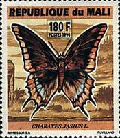 Two-tailed Pasha (Charaxes jasius)