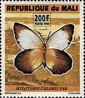 Western Dotted Border (Mylothris chloris)