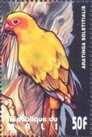 Sun Parakeet (Aratinga solstitialis)