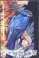 Hyazinth Macaw (Anodorhynchus hyacinthinus)