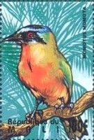Blue-crowned Motmot (Momotus momota)