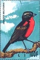 Red-breasted Blackbird (Sturnella militaris)