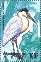 Capped Heron (Pilherodius pileatus)