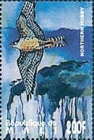 European Hobby (Falco subbuteo)