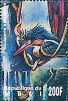 Malachite Kingfisher (Corythornis cristata)