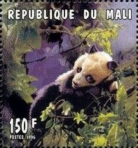 Giant Panda (Ailuropoda melanoleuca)