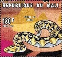 Gaboon Viper (Bitis gabonica)