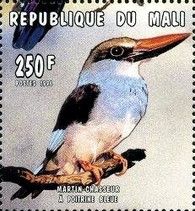 Blue-breasted Kingfisher (Halcyon malimbica)