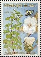 Cotton