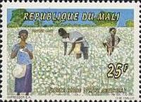 Cotton Field