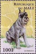 Schnauzer