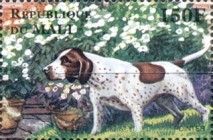 Pointer