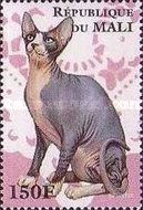 Sphynx