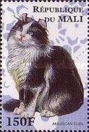 American Curl